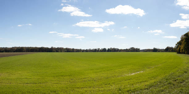 istock Parke County Indiana Agriculture Fields 1359356012