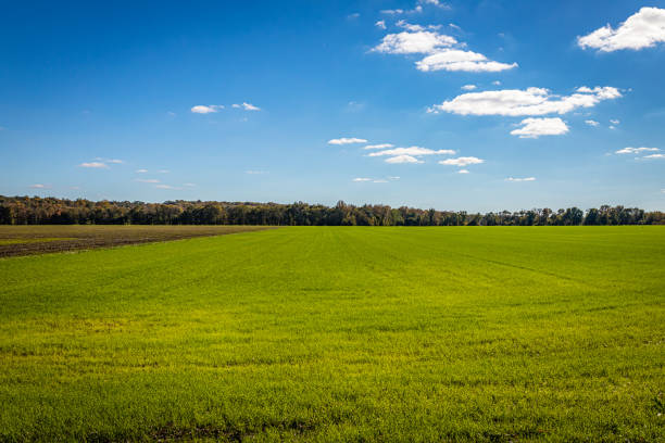 Parke County Indiana Agriculture Fields