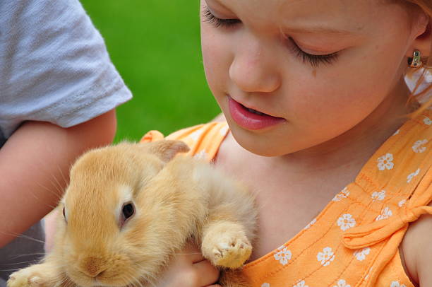 istock Young girl holding a bunny 135935805