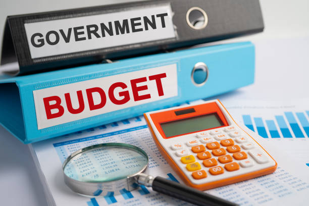 Government, BUDGET. Binder data finance report business with graph analysis in office. stock photo
