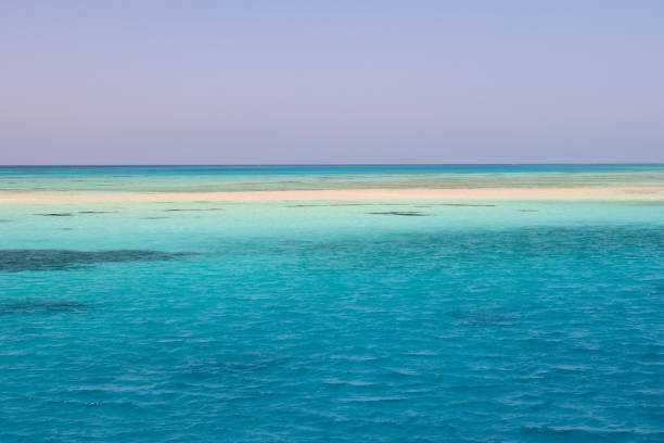 istock The White Island in Ras Mohammed National Park 1359362906