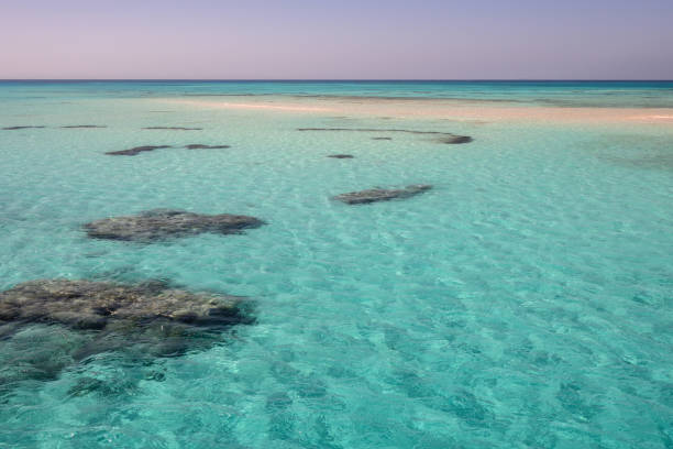 istock The White Island in Ras Mohammed National Park 1359363575