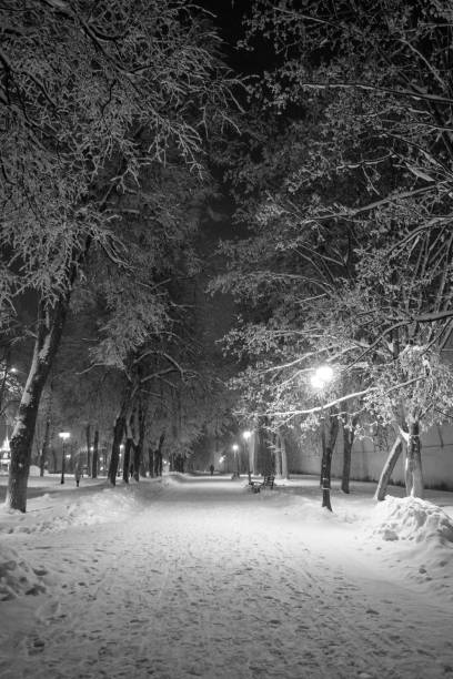 istock winter path at night in a snow-covered park among trees and lanterns 1359366397
