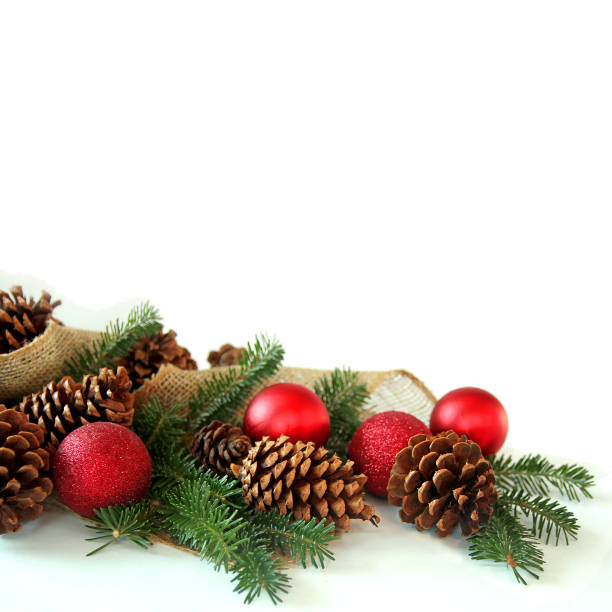 Red Christmas Tree decorations, pine cones, evergreen branches, and burlap fabric are creating a bottom frame, isolated on a blank white background.