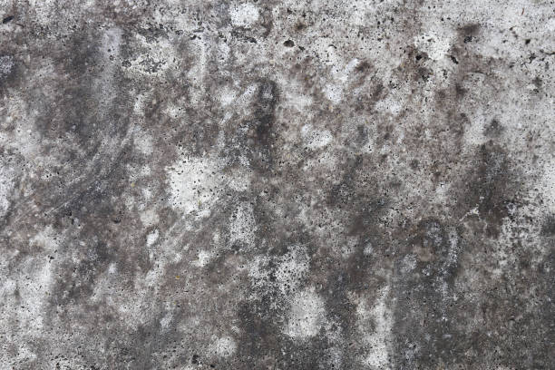 istock Close up Background of Grey Weathered Stone Concrete 1359368692