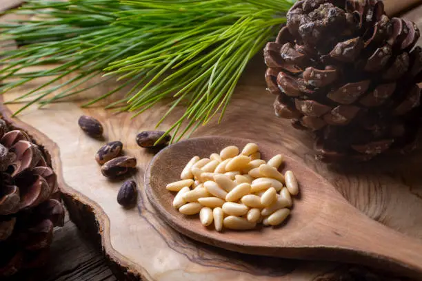 Photo of Pine nuts in the spoon and pine nut cone on the wooden table. Organic food.