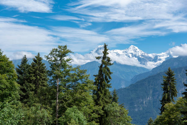 아이거, 모엔치, 융프라우가 배경으로 한 구타베르크의 풍경 - jungfraujoch jungfrau bernese oberland monch 뉴스 사진 이미지