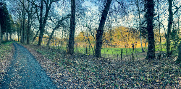 istock A path next to a forest and a river in winter. 1359374121