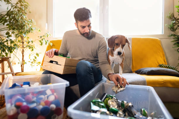 While responsible man separating waste for recycling, his Beagle dog makes him a company