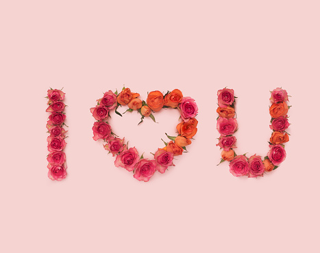 I love you sign inspired concept. Beautiful short text made of roses heads. Flat lay arrangement against pink background