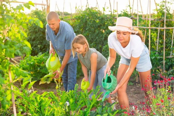 istock Family watering flowers 1359379898