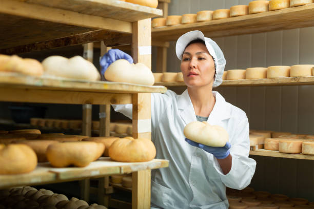 istock Skilled woman controlling maturing process of cheese wheels 1359379998