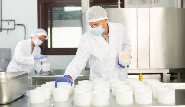 istock Man in protective mask shaping cheese wheels in dairy workshop 1359380002