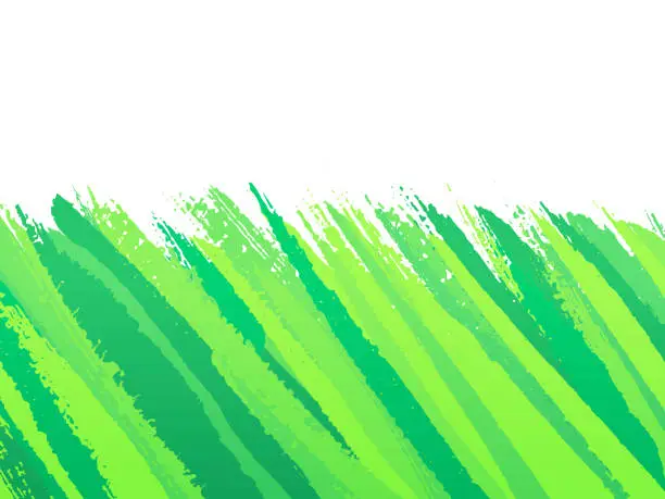 Vector illustration of Green Brush Stroke Painted Grass Abstract Background