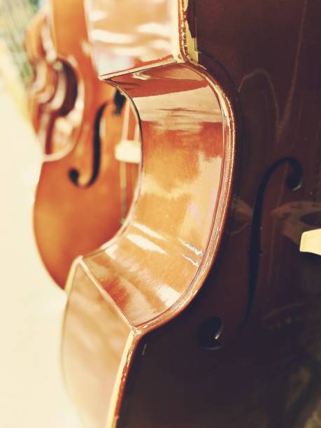 istock Double Bass in a Classroom 1359386156