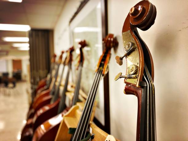 Cello