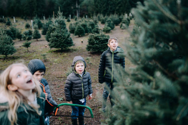 クリスマスツリーファームを探索する子供たち - 6 11 months ストックフォトと画像