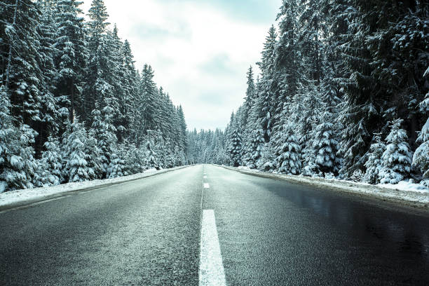 istock Road in winter forest. Winter landscape with snow covered trees. 1359388018