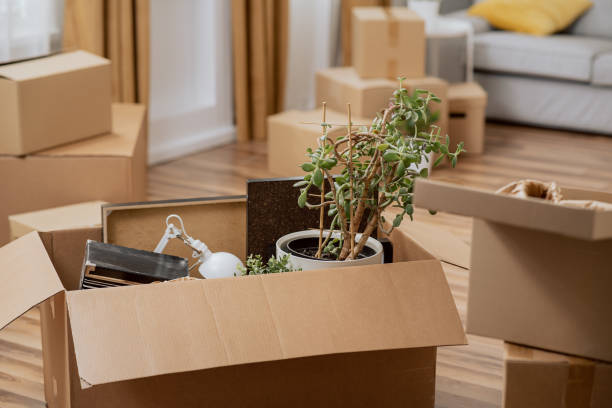 istock Apartment during moving, close-up on cardboard boxes with packed things, couch brought in, renting, buying, selling property, freshly renovated 1359391615