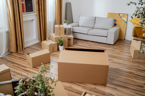 Apartamento mientras se muda, cajas de cartón con cosas, sofá traído, alquiler, compra, venta de propiedades, recién renovado photo