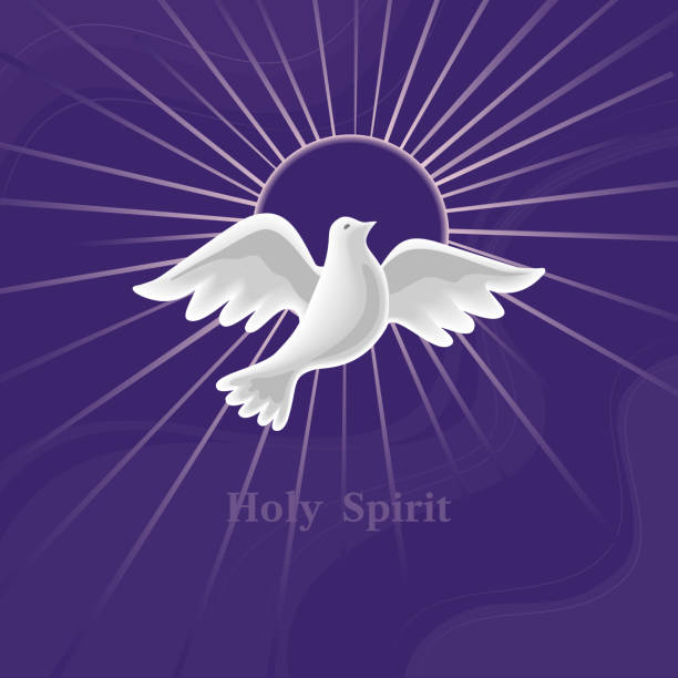 dove holy spirit mit halo-vektor-illustration - pfingsten stock-grafiken, -clipart, -cartoons und -symbole