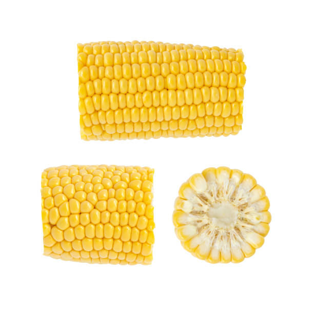 fresh corn cob isolated on white background - agriculture close up corn corn on the cob imagens e fotografias de stock
