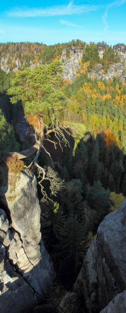 istock Famous Saxon Switzerland at the Elbe river in Saxony 1359396325