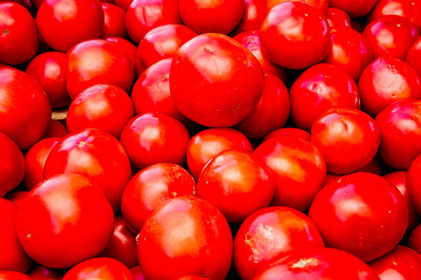 Tomatoes for sale on an outdoor market counter.