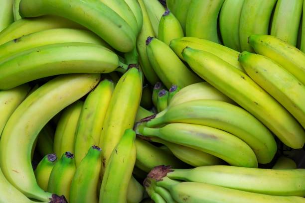 istock Tropical fruits. 1359402874