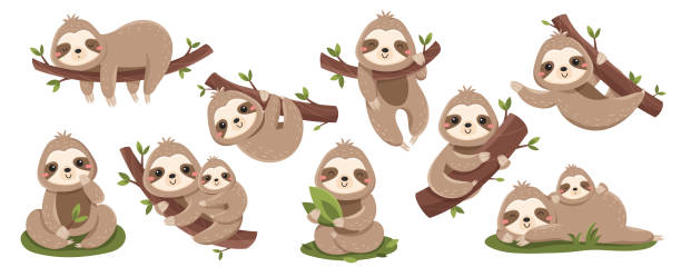 Set of cute baby sloths Set of cute baby sloths. Lazy wild animal lies on branch, climbs trees or eats green leaves. Design elements for stickers, social networks. Cartoon flat vector collection isolated on white background lazy stock illustrations