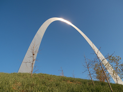 Saint Louis' Gateway Arch with grass and trees in the foreground and cloudless blue sky above. One tree has a bird's nest in its branches.