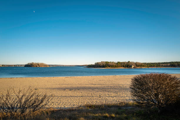 istock A panoramic coastal landscape along the beach footpath over the trimmed bushes. 1359414078