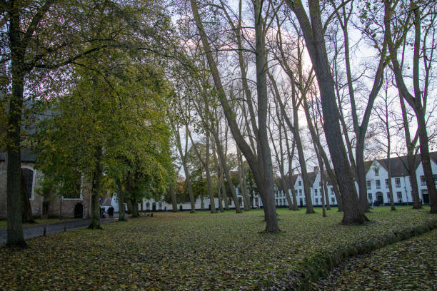 istock begijnhof courtyyard in bruges belgium 1359415752