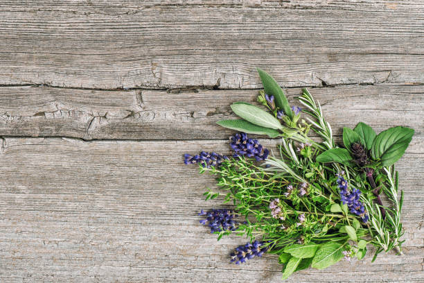 istock Fresh herbs wooden background. Basil rosemary mint sage thyme lavender 1359415800