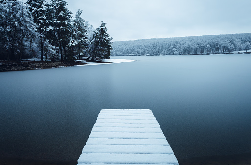 A snowy winter day at Beaver Lake Regional Park, located on southern Vancouver Island.