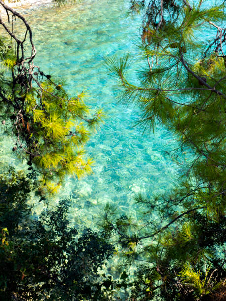 vue d’en haut sur une belle eau turquoise - beach cancelled close up color image photos et images de collection