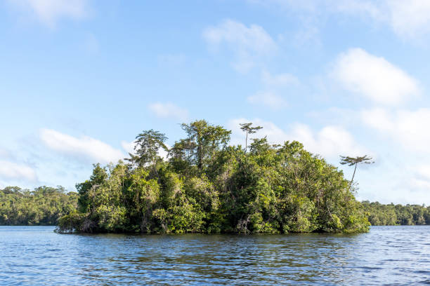 istock Landscape with a small island in a river 1359417830