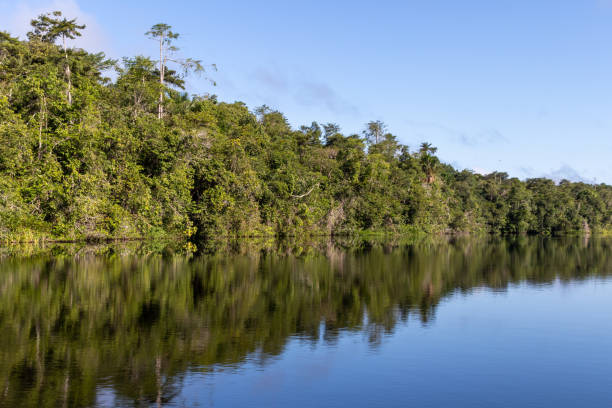 istock Landscape with the forest reflecting in the river 1359418401