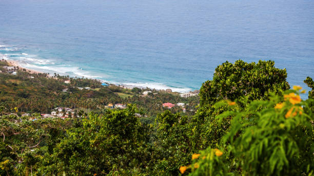istock Caribbean view - Bathsheba, Barbados 1359418448