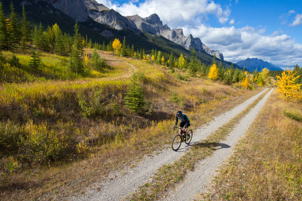 istock Gravel Road Bicycle Ride 1359418510