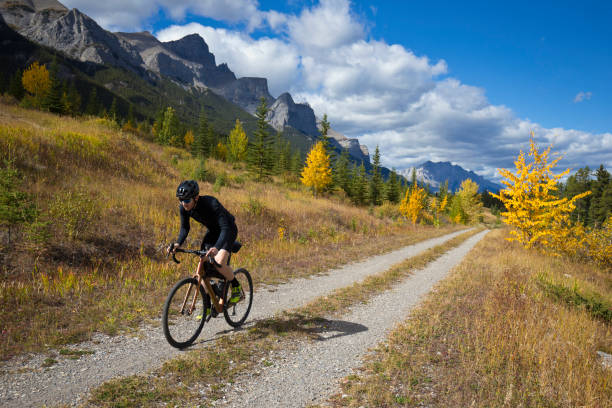 istock Gravel Road Bicycle Ride 1359418511