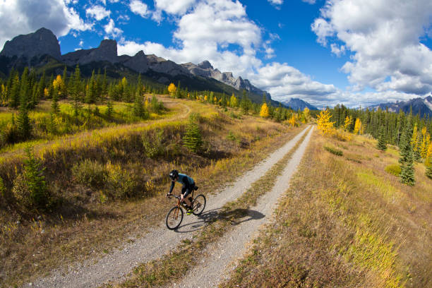 istock Gravel Road Bicycle Ride 1359418550