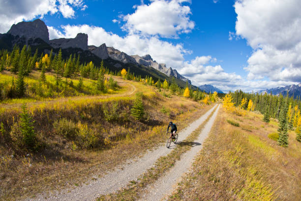 istock Gravel Road Bicycle Ride 1359418581
