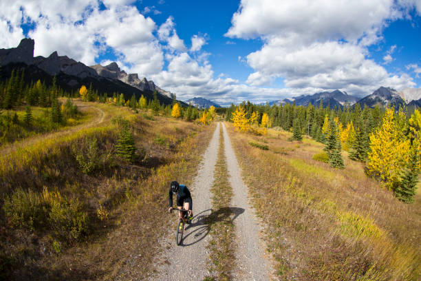 istock Gravel Road Bicycle Ride 1359418593
