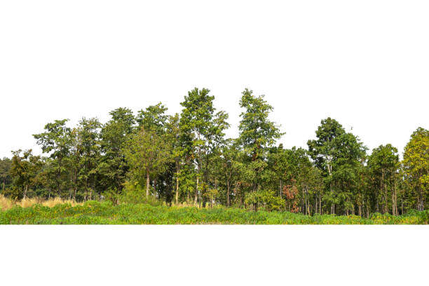 istock View of a High definition 1359419565