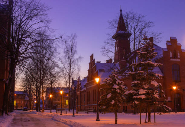 古い歴史的なネオゴシック大学の建物のキャンパス冬の雪、ピンクの夕日の色と街のライト。 - klaipeda ストックフォトと画像
