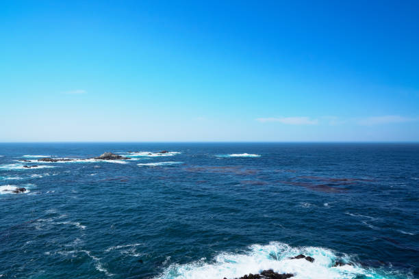 Exploring Point Lobos State Marine Conservation Area in Carmel-By-The-Sea