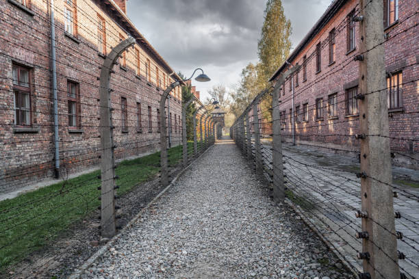 barbed wire fence and buildings at auschwitz i -  former german nazi concentration and extermination camp - poland - death camp imagens e fotografias de stock