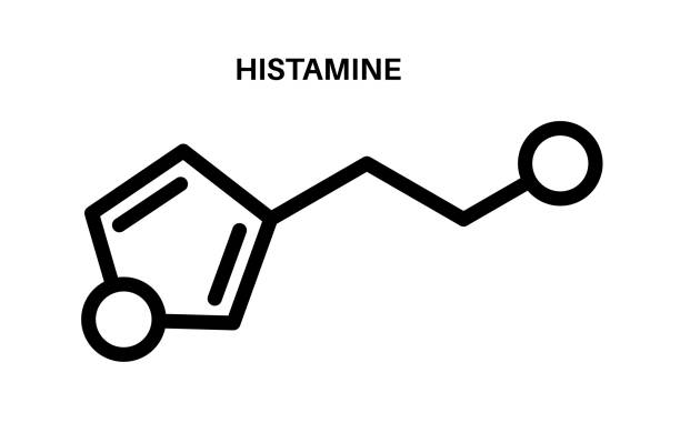 ilustrações, clipart, desenhos animados e ícones de ícone da fórmula de histamina - amino acid molecule chemical histamine