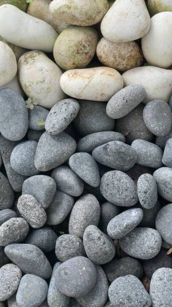 istock Beautiful stones in the garden 1359431849